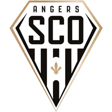 Angers SCO et l'équipe de France de Football