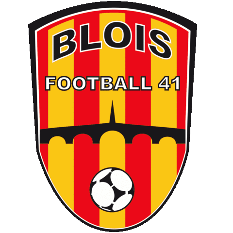 Blois Football 41 et l'équipe de France de Football