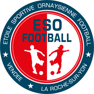 ESOFV La Roche-sur-Yon et l'équipe de France de Football
