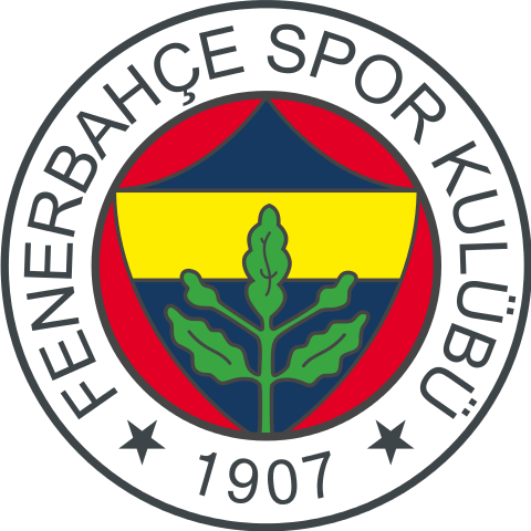 Fenerbahçe SK et l'équipe de France de Football