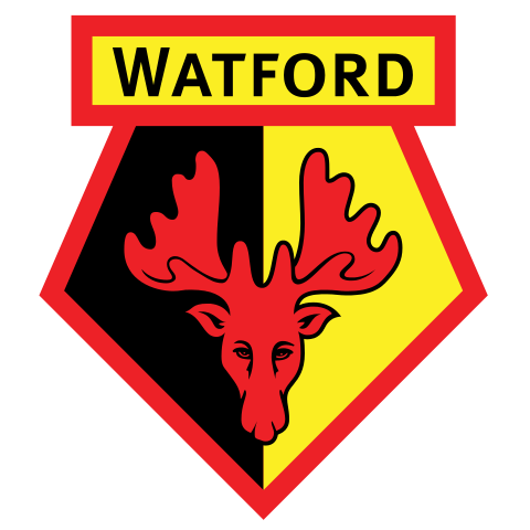 Watford FC et l'équipe de France de Football