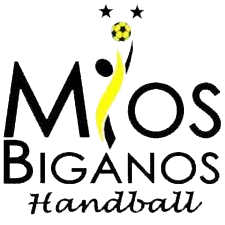 US Mios-Biganos et l'équipe de France de Handball